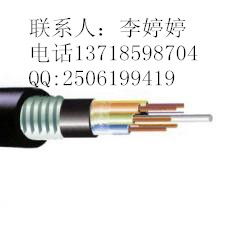 GYTA 36B1 室外单模层绞铝铠光缆 规格详解与市场价格分析